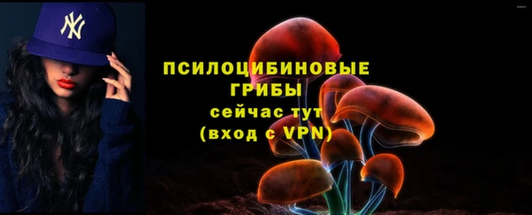 спиды Алзамай