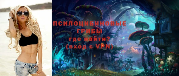 бутират Алексеевка