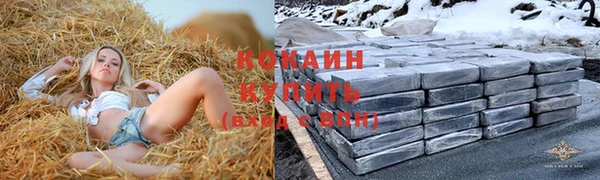 спиды Алзамай