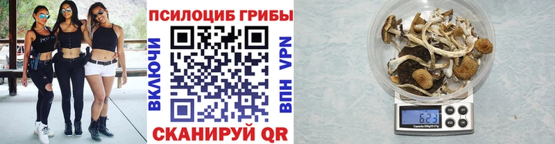 цена   Устюжна  Галлюциногенные грибы прущие грибы 